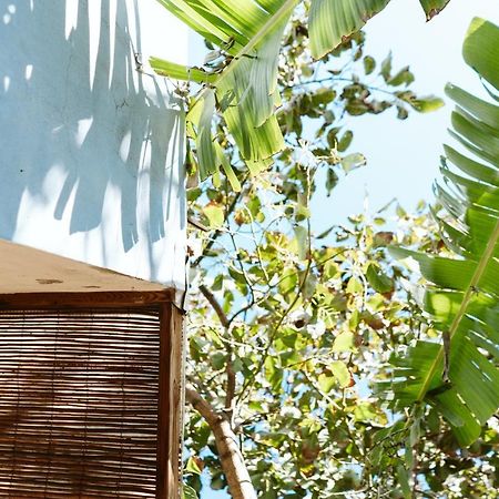 アルカス Tortuga Blue House In Banana Plantationヴィラ エクステリア 写真