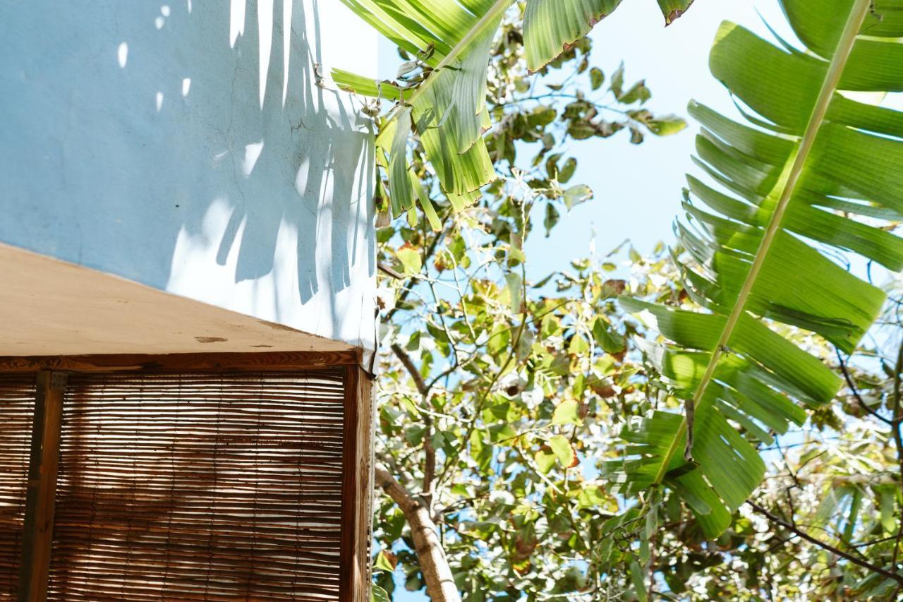 アルカス Tortuga Blue House In Banana Plantationヴィラ エクステリア 写真